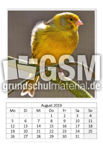 August_Kanarienvogel.pdf